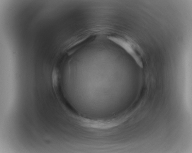 X0000114100026200910131331