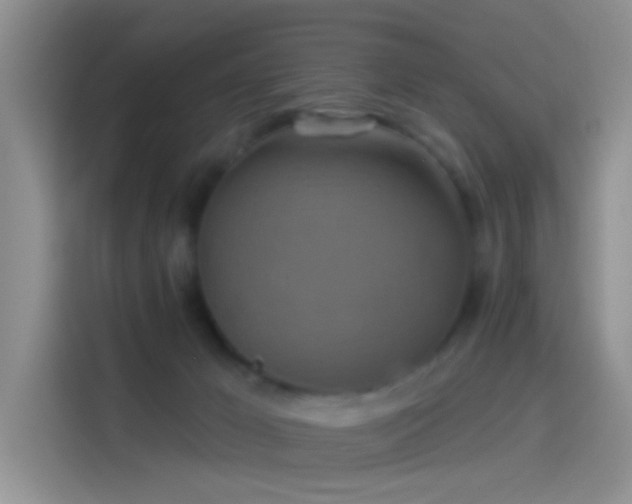 X0000114100029200910131331