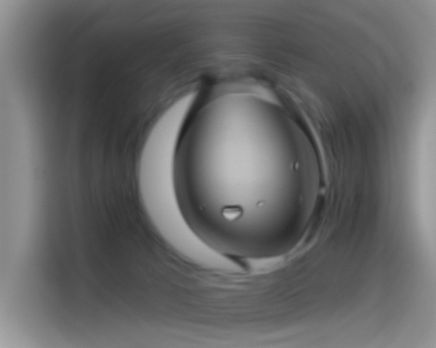 X0000114100033200910131331