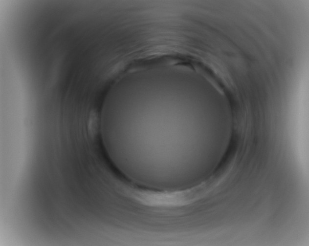 X0000114100036200910131331