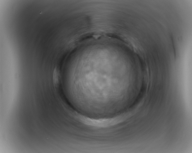 X0000114100038200910131331