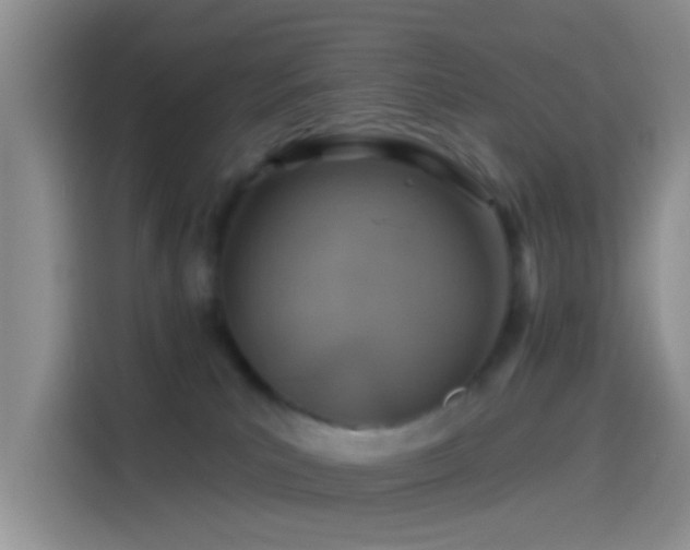 X0000114100039200910131331