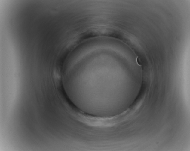 X0000114100040200910131331