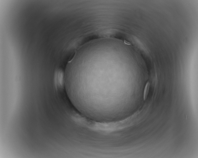 X0000114100041200910131331