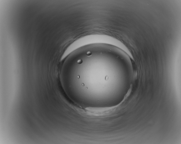 X0000114100043200910131331