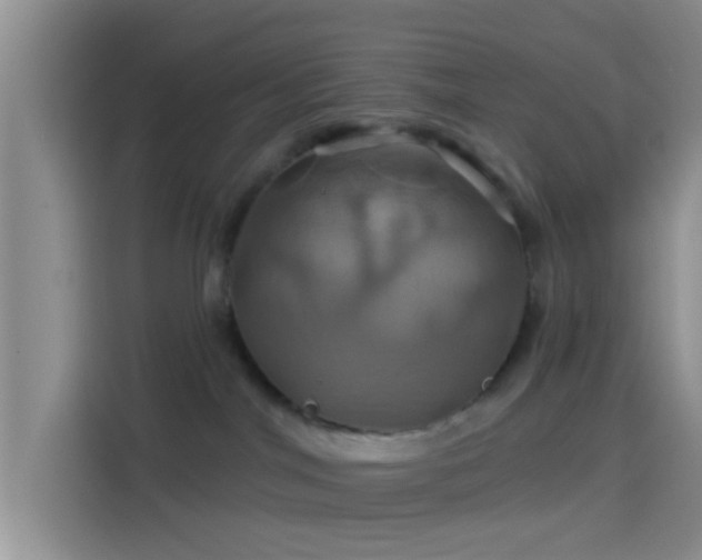 X0000114100044200910131331