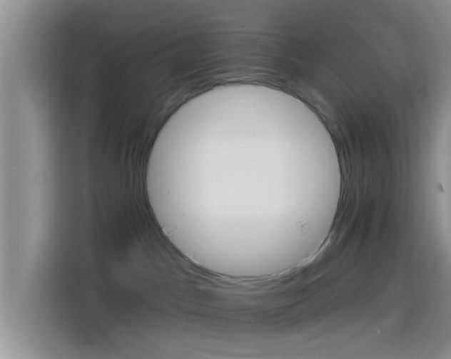 X0000114100045200910131331