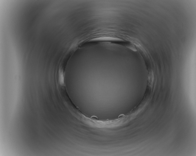 X0000114100046200910131331