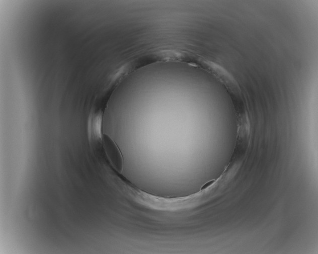 X0000114100047200910131331