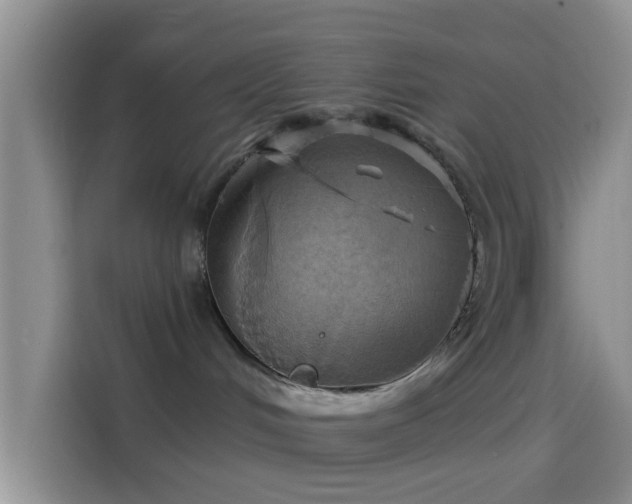 X0000114100048200910131331