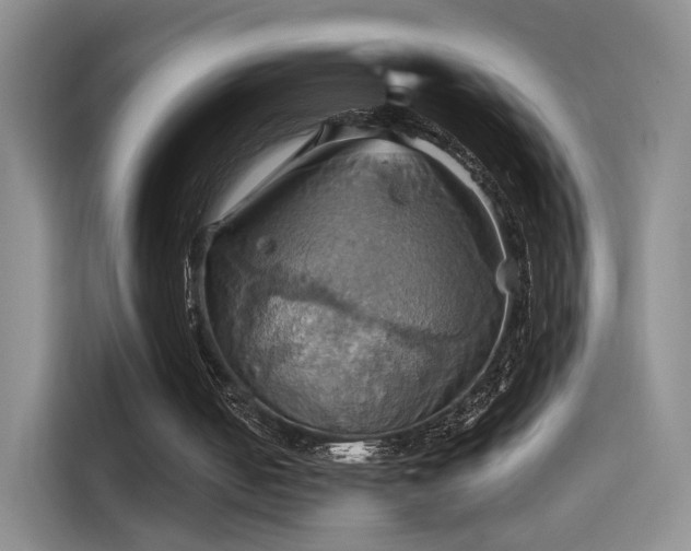 X0000114100050200910131330