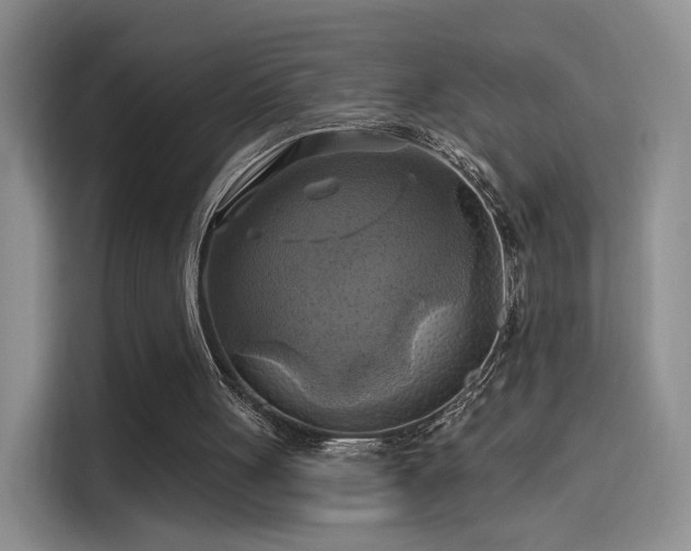 X0000114100051200910131330