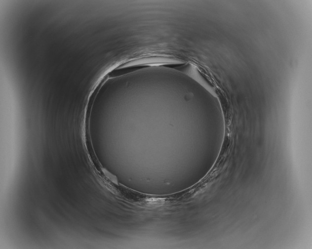 X0000114100052200910131330