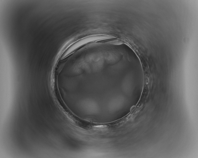 X0000114100053200910131330