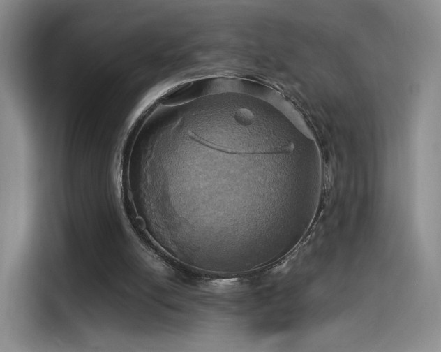 X0000114100054200910131330