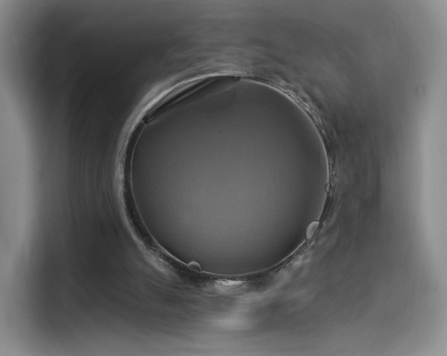 X0000114100055200910131330