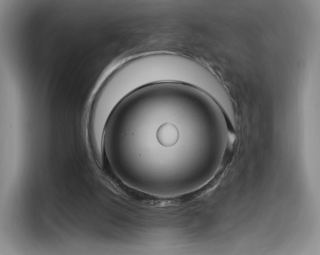 X0000114100056200910131330