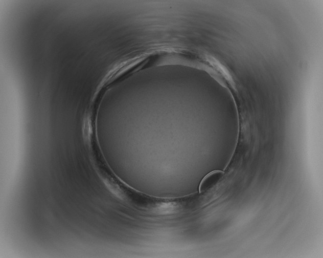 X0000114100059200910131330