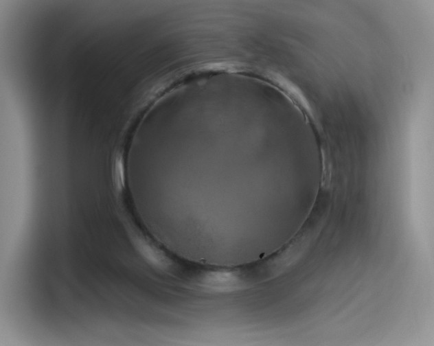 X0000114100061200910131330