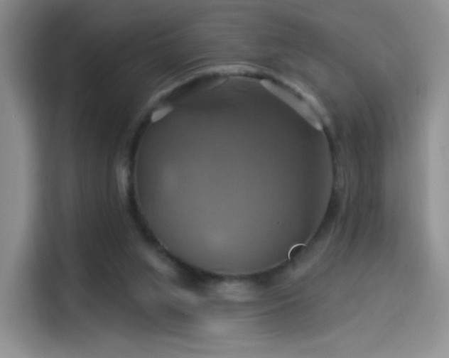 X0000114100063200910131330