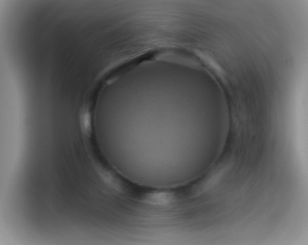 X0000114100067200910131331