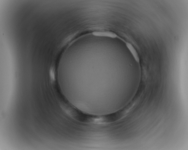 X0000114100068200910131331