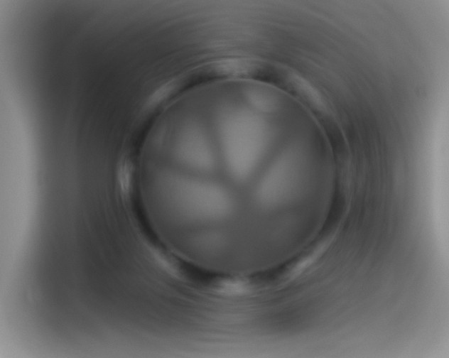 X0000114100071200910131331