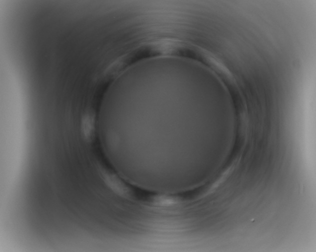 X0000114100073200910131331