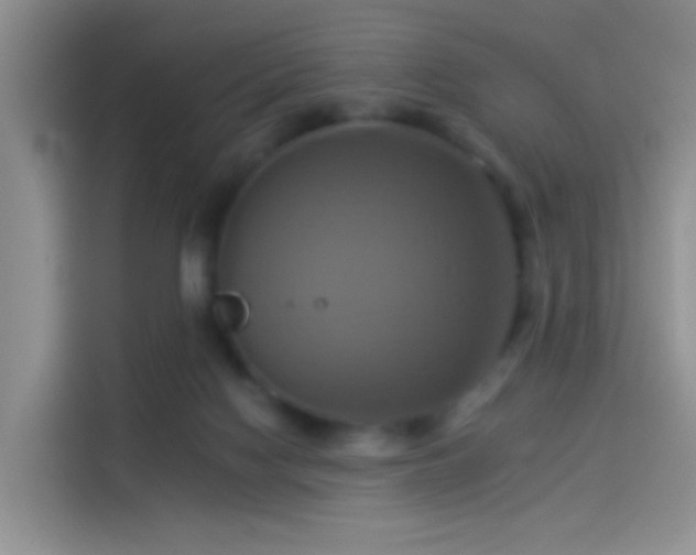 X0000114100074200910131331