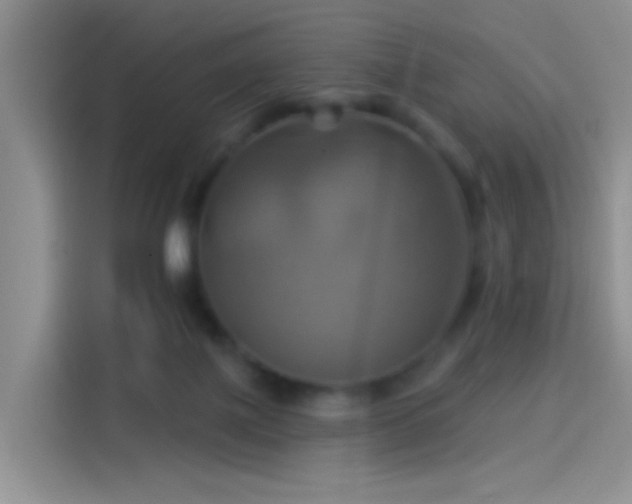 X0000114100075200910131331