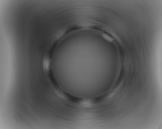 X0000114100076200910131331