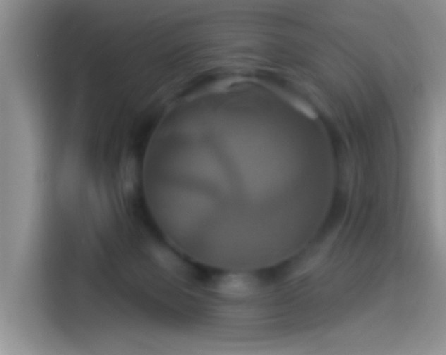 X0000114100077200910131331