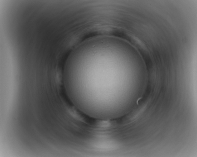 X0000114100083200910131331