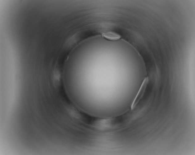 X0000114100084200910131331