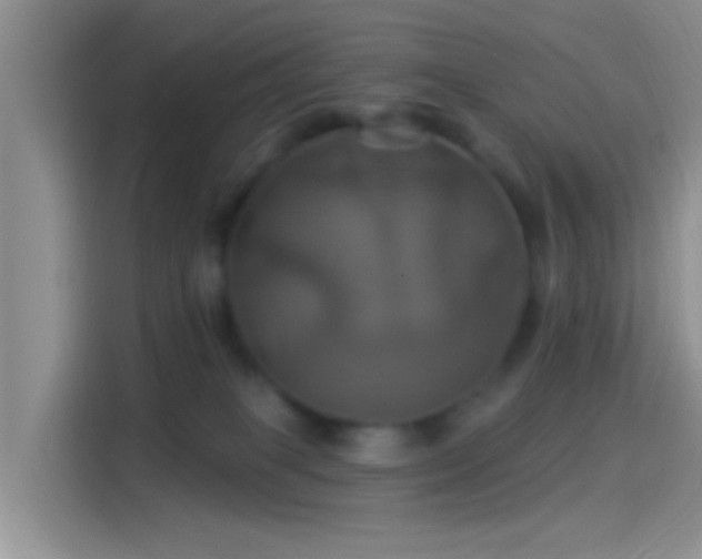 X0000114100085200910131331