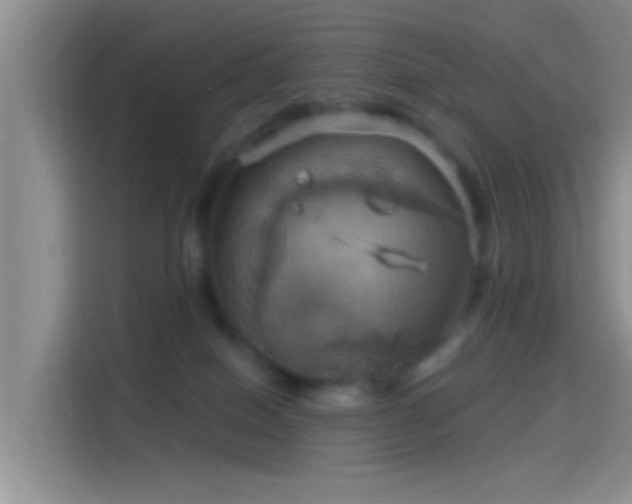 X0000114100086200910131331