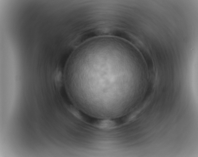 X0000114100087200910131331