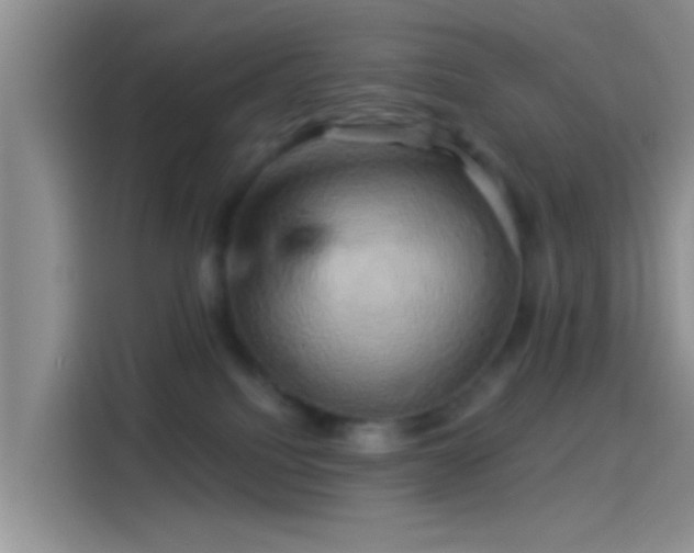 X0000114100088200910131331