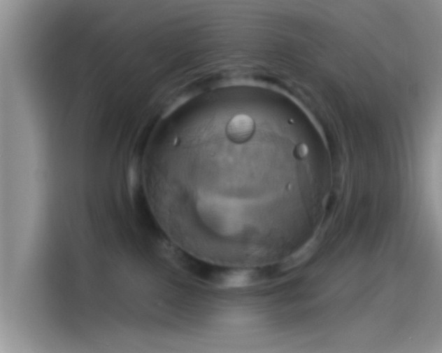 X0000114100090200910131331