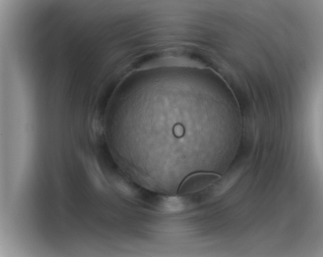 X0000114100091200910131331