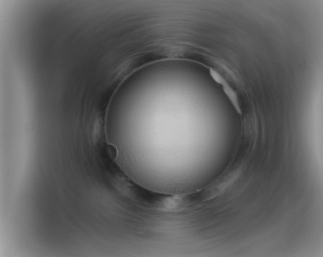 X0000114100092200910131331