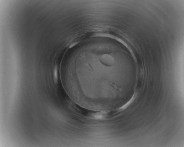 X0000114100094200910131331