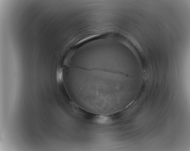 X0000114100095200910131331