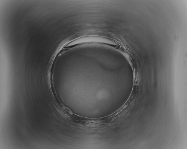 X0000114100099200910131330