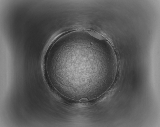 X0000114100103200910131330