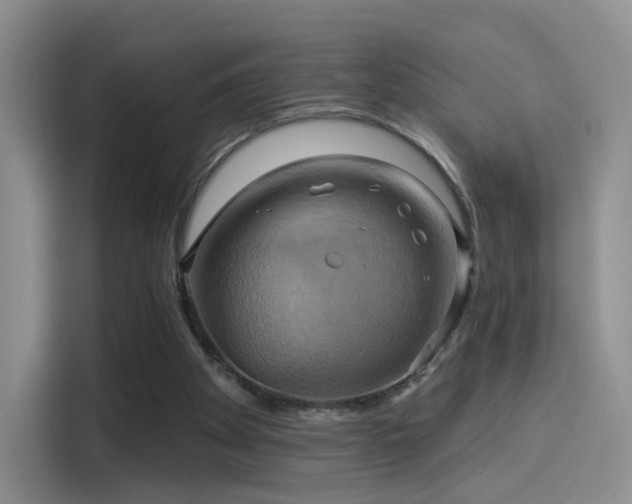 X0000114100105200910131330