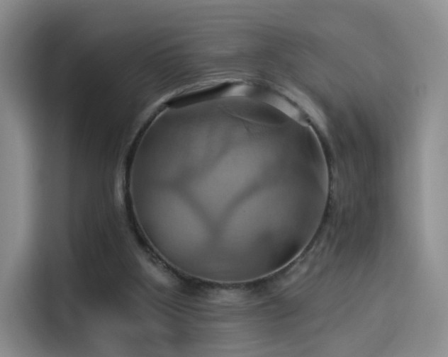 X0000114100107200910131330