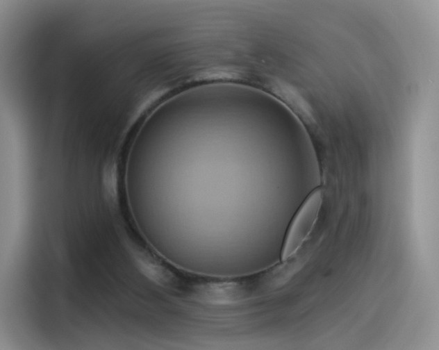 X0000114100108200910131330