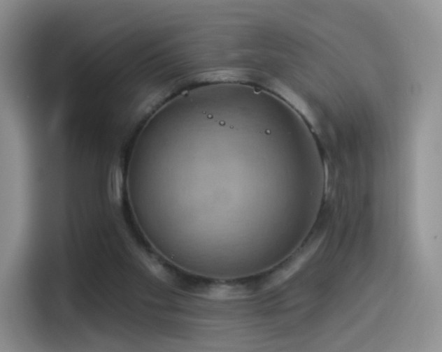 X0000114100109200910131330