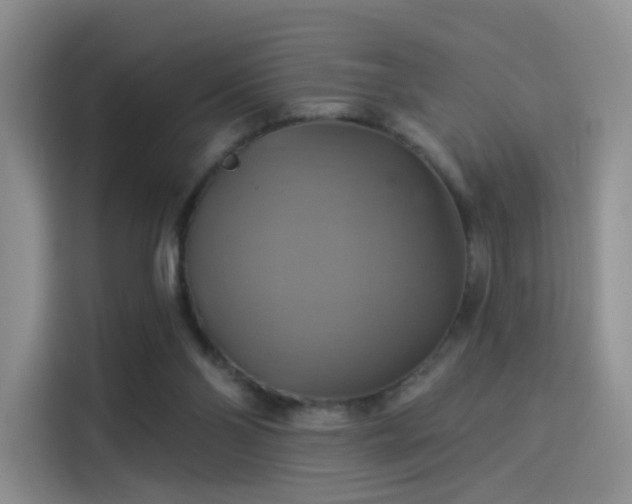 X0000114100110200910131330